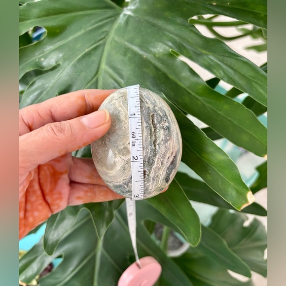 Ocean Jasper Palmstone - Picture 6 of 6